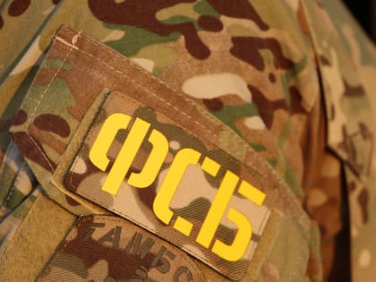 Члены преступной группы из Тамбовской области, организовавшей незаконное пребывание в России иностранцев, получили сроки