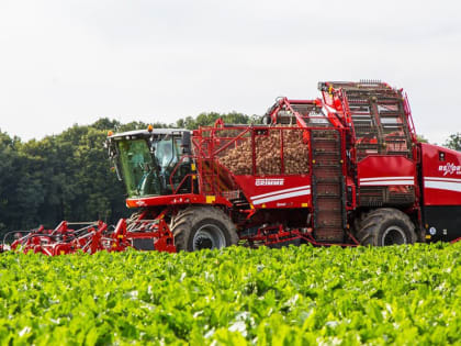 Тамбов-информ - новости Тамбова и области