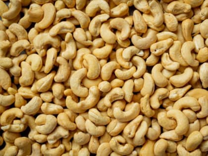 В Тамбовскую область из Вьетнама привезли более тонны орехов