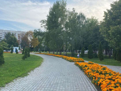 В Тамбов вернётся жаркая погода