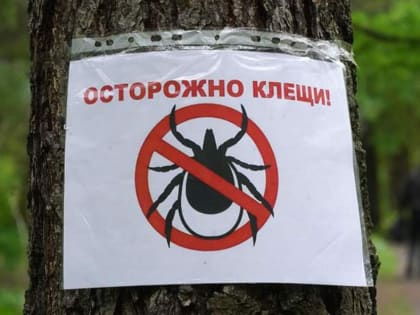 С начала года клещи покусали около 100 жителей Тамбовской области