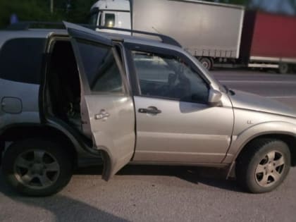 Тамбовчанка оплатила налоги и штрафы ГИБДД только после ареста автомобиля