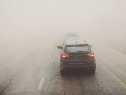 В Тамбовской области 28 января ожидается туман и гололедица