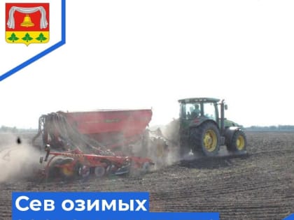 Сев озимых зерновых культур