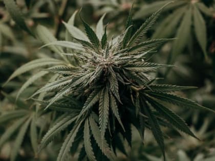 На железнодорожном вокзале Кирсанова задержали мужчину с наркотиками