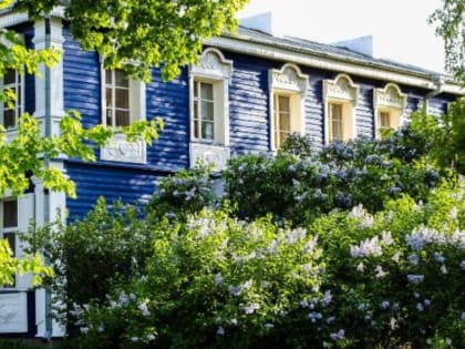 Тамбовчан приглашают в Ивановку на фестиваль "Сиреневая ночь"