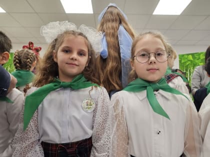 В Тамбовской области при поддержке «Тамбовской сетевой компании» появится сеть эко-школ