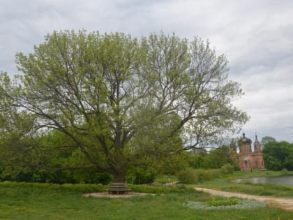 Тамбов-информ - новости Тамбова и области