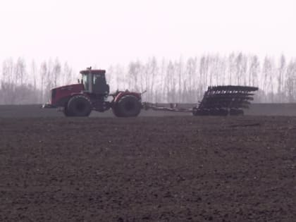 В Тамбовской области может появиться цифровой сервис для получения аграриями господдержки