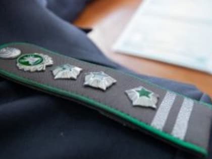 Россельхознадзор выявил 4 случая недостоверного декларирования зерна в Тамбовской области