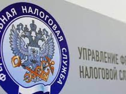 Отчитываться о доходах за прошлый год тамбовчане будут по обновленной форме