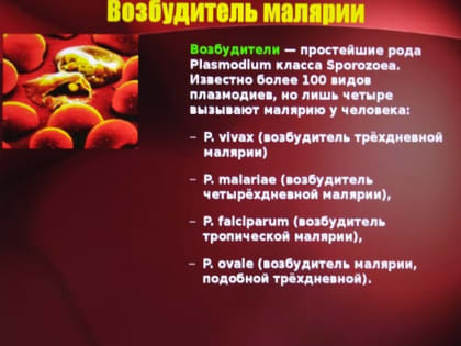 Диагностика, профилактика и лечение сибирской язвы, малярии, лихорадки Зика