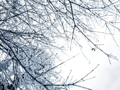 В новогодние дни Тамбов ждет оттепель