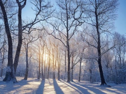 Тамбовчанам рассказали о погоде в выходные