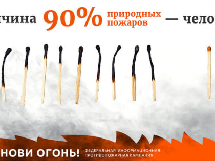 Тамбовская область присоединится к Всероссийской акции «Останови огонь!»