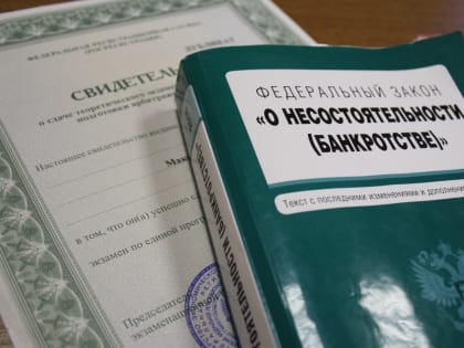 Роль арбитражного управляющего в процессе банкротства физических лиц