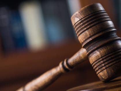 Мать двоих детей из Тамбовской области лишили родительских прав