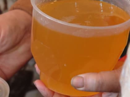 Ярмарка меда в Тамбове начнет работу 5 августа