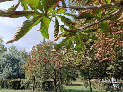 Синоптики обещают Тамбову холодную и дождливую погоду на этой неделе