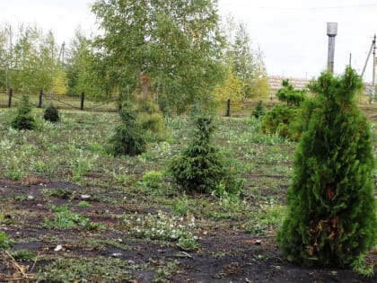 Земельный контроль в свете изменений действующего законодательства