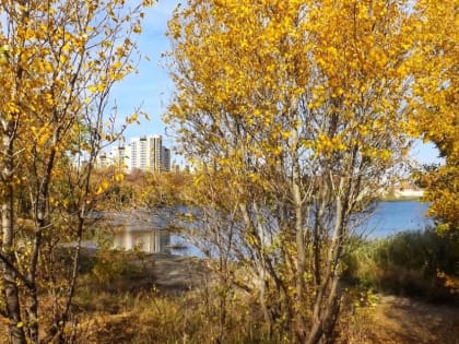 Дожди в Тамбове: спасение после засухи