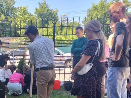 У института имени С.В. Рахманинова высадили туи