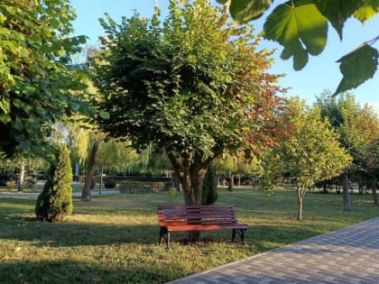 Тамбов ожидает жаркие дни в августе