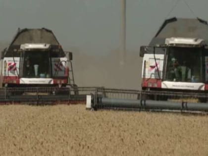 В регионе появится «цифровая очередь» для подачи заявок на получение субсидий в сфере АПК