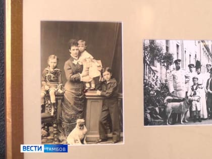 Царские снимки: в картинной галерее представили «Семейный альбом Николая II»