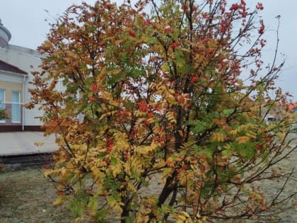 Потепление в Тамбове: ожидания и реальность