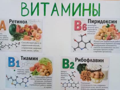 Мероприятия, посвящённые Всемирному Дню здоровья