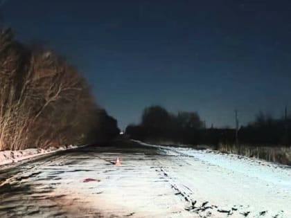 В Ржаксинском районе нетрезвый водитель насмерть сбил школьницу и скрылся