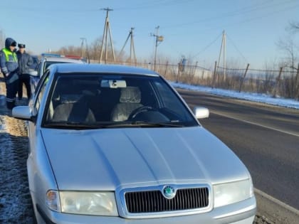 Тамбовчанин оплатил долг по 85 штрафам после ареста его иномарки