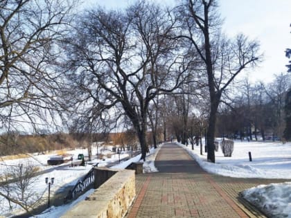 Синоптики рассказали о погоде в Тамбове в первые дни февраля