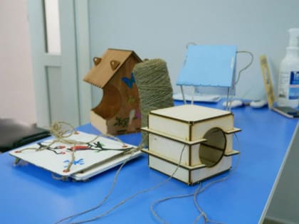 Тамбовские школьники смастерили "инженерные" кормушки для птиц
