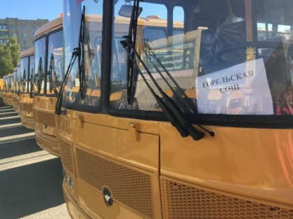 Тамбовская область получит 39 новых школьных автобусов