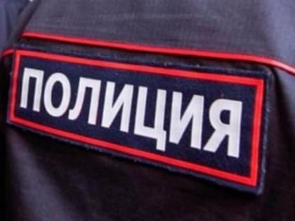 Тамбовчанин лишился 12 млн рублей при попытке выиграть на интернет-бирже