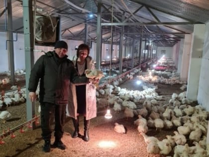 Фермер из Петровского округа закупил цыплят в Крыму