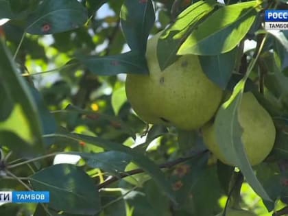 19 предприятий региона повысили производительность труда