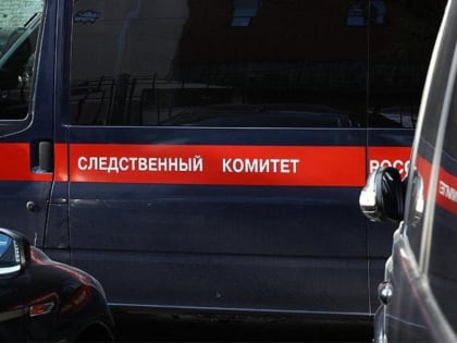 Тамбовчанин перед Новым годом до смерти избил сожительницу из-за ревности