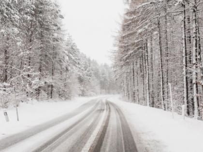 В Тамбовской области из-за сильных морозов сломались два пассажирских автобуса