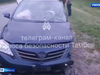 Водители региона продолжают садиться за руль в нетрезвом состоянии