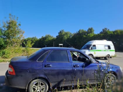 Тамбовчанин оплатил 27 штрафов по линии ГИБДД только после ареста автомобиля