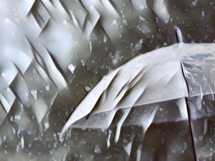 На выходных в Тамбове ожидается прохладная погода и дожди