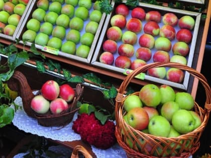 В Строителе 23 сентября развернётся продуктовая ярмарка