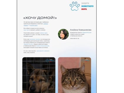 «Единая Россия» организовала в соцсетях фотовыставку бездомных животных