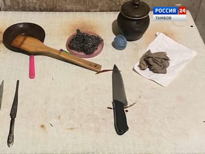 Тамбовчанин забил до смерти сожительницу в предновогоднюю ночь