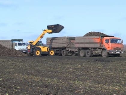 Аграрии Притамбовья завершили посевную кампанию