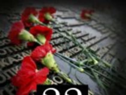 В Вольновершинском библиотечном филиале для детей был проведён час истории на тему "Светлой памяти павших посвящается"