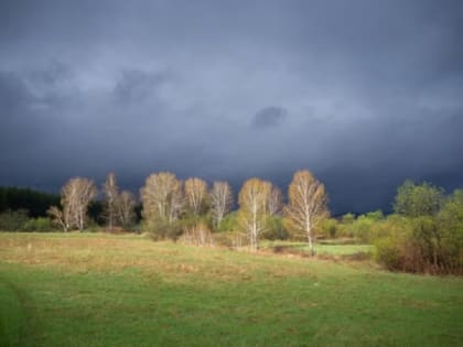 В выходные в Тамбове ожидаются дожди и гроза
